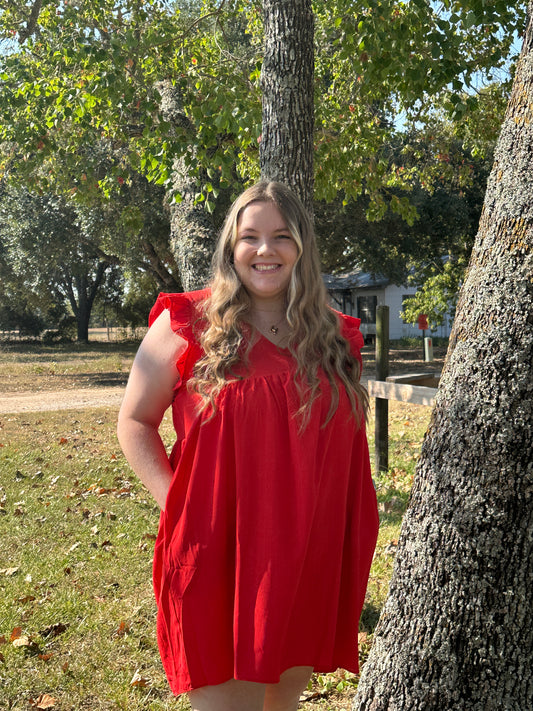 Ruffle Sleeve Dress