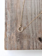 Horseshoe Necklace